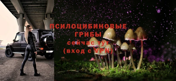 PSILOCYBIN Новокубанск