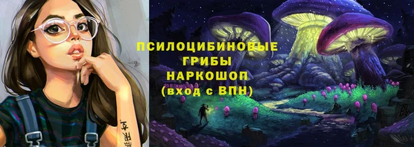 мдма Няндома