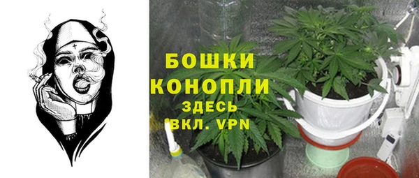 PSILOCYBIN Новодвинск