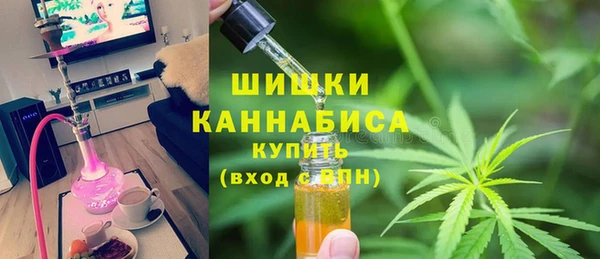 МДПВ Новозыбков