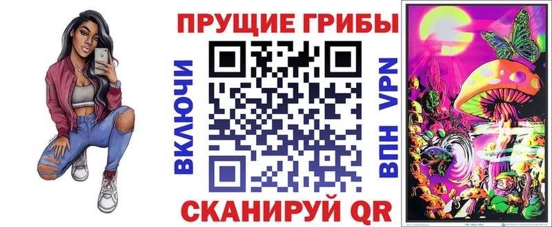 kraken зеркало  Ступино  Псилоцибиновые грибы Psilocybe  закладки 