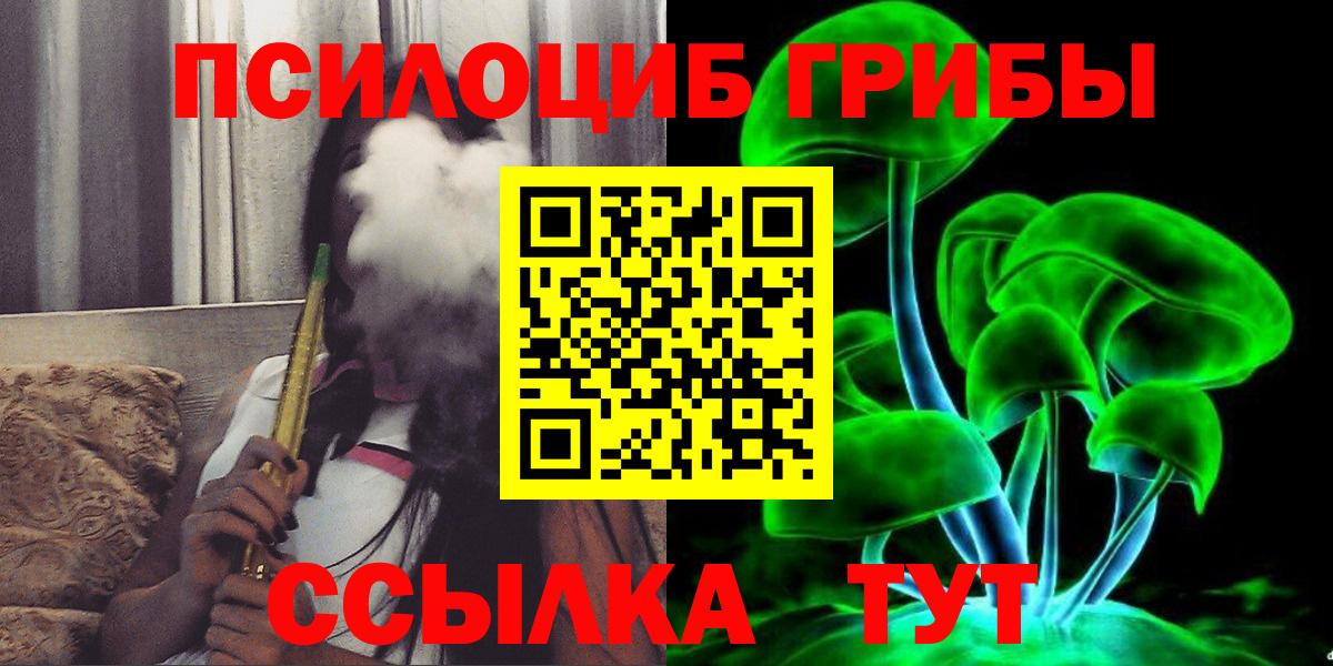 Ступино  Галлюциногенные грибы Psilocybe  Вход с VPN 
